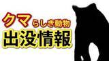 「「１ｍぐらいの熊のようなものが…」広島市佐伯区でクマらしき動物の目撃情報が相次ぐ　けが人や物的被害はなし」の画像1