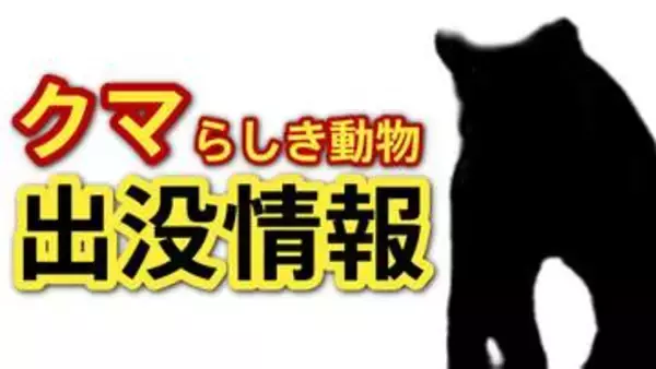 「１ｍぐらいの熊のようなものが…」広島市佐伯区でクマらしき動物の目撃情報が相次ぐ　けが人や物的被害はなし