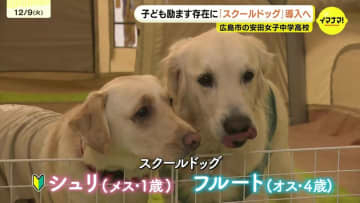 学校で犬を飼おう！「スクールドッグ」を迎えるために動き出した生徒と教師　広島