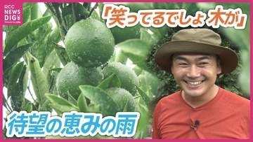 「木が笑ってる ありがとうって」猛暑の柑橘農園に待望の雨…農家が語る苦悩と手応え　広島･瀬戸田レモン
