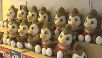 ドラフラ広島出身･佐古竜誠が特別指定選手で新加入　ドラゴンフライズU15出身　「地元の子供たちのロールモデルに」