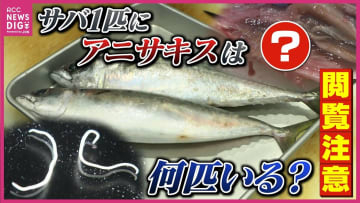 【閲覧注意】サバ1匹に90匹のアニサキス！？「七転八倒」の激痛を防ぐには　内臓に潜む驚愕の実態を調査 ※記事内に寄生虫の画像あり