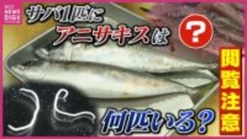 【閲覧注意】サバ1匹に90匹のアニサキス！？「七転八倒」の激痛を防ぐには　内臓に潜む驚愕の実態を調査 ※記事内に寄生虫の画像あり