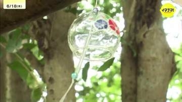 暑さ忘れさせる爽やかな音色　来月1日から「風鈴まつり」　広島・三次市の鷺神社