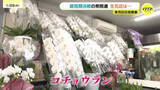 「「超短期決戦」の衆院選　当選祝いのコチョウラン準備　企業献金問題でお祝い自粛の企業も」の画像1