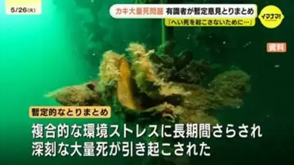 「複合的な環境ストレスに長期間さらされ…」かきの大量へい死問題　広島県の有識者会議が暫定とりまとめ