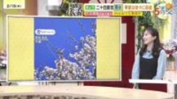 【あす2/20(金)広島天気 】曇りのち晴れ　午後はよく晴れる　気温上昇で日差しが暖かい一日