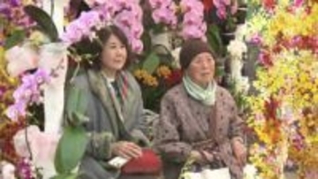 50周年の広島市植物公園　「春の特別ラン展」始まる　3月1日まで　周年記念ロゴも披露