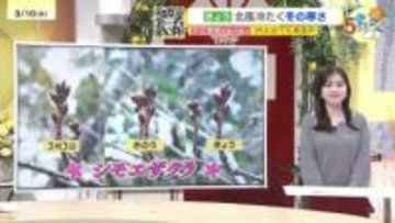【あす3/11(水)広島天気 】安定して晴れる　寒暖差・乾燥・花粉に注意　朝の冷え込み強まる