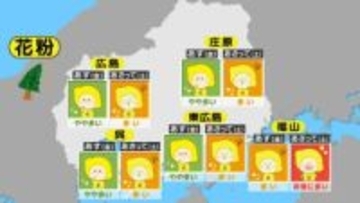 【花粉情報】花粉はPM2.5と合わさると「悪化」　明日の花粉のつらさは？スギ花粉はピークに　広島