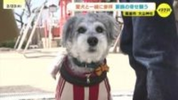 「元気に長生きして」尾道・大山神社に愛犬家が集結　ペットの祈祷や専用お守りも　広島