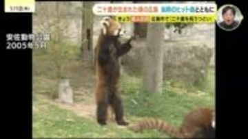 祝二十歳　彼らが生まれた時代にはどんなことが？　広島