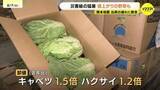 「夏の猛暑・水不足で野菜高騰　熊本地震で「キャベツの出荷遅れ」懸念　広島のソウルフードにも影響か　果物は「シャインマスカット」が大衆ブドウに!?」の画像1