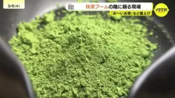 「仕入れ価格が３倍のものも」「抹茶だけでなくほうじ茶も」世界的な抹茶ブームで伸び悩む生産量　仕入れ確保　生産量確保のために様々な取り組み