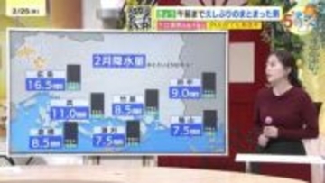 【あす2/26(木)広島天気 】晴れ間あり　気温上昇で春本番の陽気　寒暖差と花粉に注意