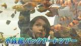 「「家の塩では魚は飼えません」1日4トンの海水を作る水族館の舞台裏に潜入　【広島もとまち水族館】」の画像1