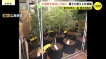 集合住宅で大麻草36鉢を栽培か　親子ら３人を逮捕　営利目的で栽培したとみて捜査　広島