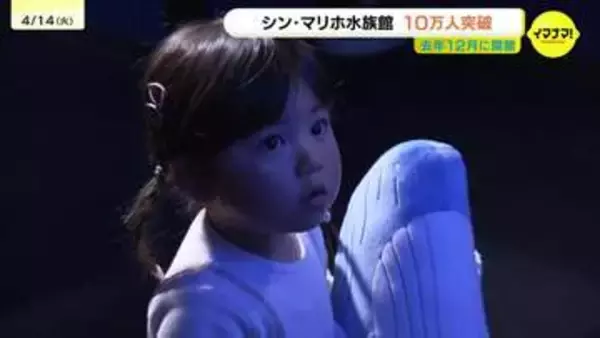 「思ったより沢山のかたに来てもらい、少し早めの達成になった」シン・マリホ水族館　来館者数が10万人突破