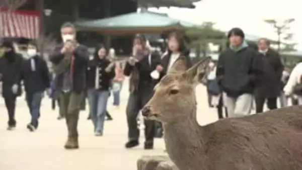 「通行止めで急遽泊まってお参りに」世界遺産登録から30年目の宮島　正月休み最終日も初詣でにぎわう　広島