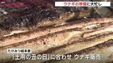 「連日の猛暑のなか「土用の丑の日」　夏を乗り切るウナギ料理の準備に大忙し　広島」の画像1