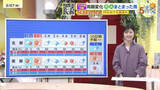 「【2/28・3/1（土日）広島天気】春の陽気に　花粉大量飛散　上から2番目の「非常に多い」予想」の画像1