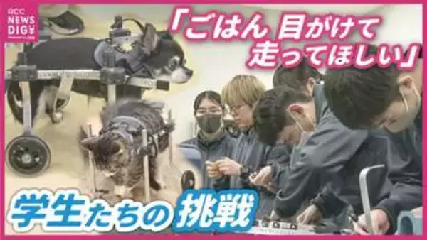 「大好きな散歩をもう一度」　動物用 “車いす”を作る大学生　体が不自由な動物のためオーダーメイド　「動物が幸せに暮らすサポートを」　広島国際大学 動物義肢装具研究会