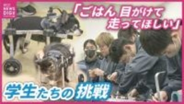 「大好きな散歩をもう一度」　動物用 “車いす”を作る大学生　体が不自由な動物のためオーダーメイド　「動物が幸せに暮らすサポートを」　広島国際大学 動物義肢装具研究会