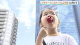 「「いちご飴が1番楽しみ」ひろしまフラワーフェスティバル2日は晴れて家族連れでにぎわう」の画像1