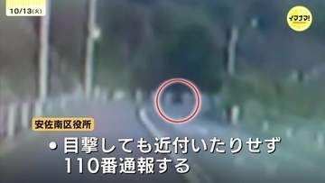 「いきなり黒く大きい物体が･･･」広島市安佐南区でツキノワグマ出没 区が警戒呼びかけ