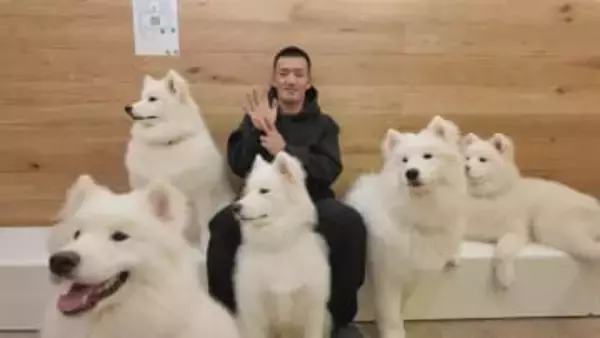 【カープ】【矢野さんぽ】2026年の元旦でも矢野が広島の街をめぐる！ここでしか見られない姿が盛りだくさん⁉