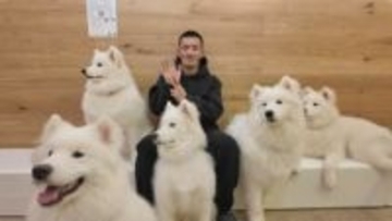 【カープ】【矢野さんぽ】2026年の元旦でも矢野が広島の街をめぐる！ここでしか見られない姿が盛りだくさん⁉