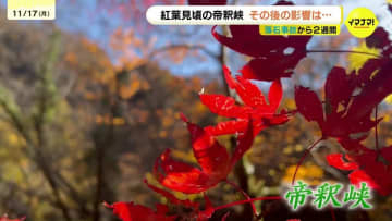 帝釈峡が鮮やかに色づく　落石事故で一部通行止めも　遊歩道や遊覧船でゆったり紅葉狩り「ぜひ多くの人に来てほしい」