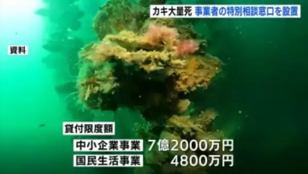 カキ大量死問題　カキ関連事業者の資金繰りの相談窓口設置　政府の支援策に対応　中国経済産業局