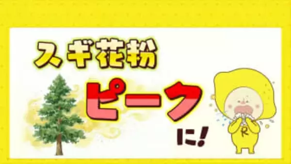 スギ花粉の飛散ピーク迎える　花粉症の方は万全の対策を