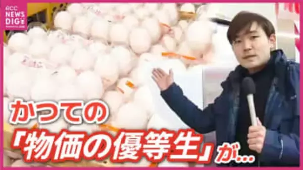 かつては1パック50円台も？「以前は集客のアイテムだった」いまや300円超の卵　スーパーが語る“適正価格”への転換　大手玉子焼きメーカーも「値上げ」に踏み切りへ　広島