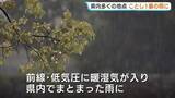 「広島で「今年一番の雨」各地で記録　24時間で80ミリ超も　夕方にかけ落雷・突風に警戒」の画像1