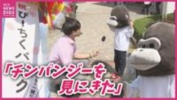 ゴリラの着ぐるみで｢チンパンジーを見に来た!?｣　安佐動物公園の人気施設“ぴーちくパーク”きょうで開園25年　クジャクも大きな羽広げ来園者を出迎え　広島