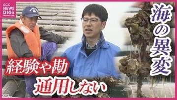 【カキの大量死】「漁場が疲れている」年間約2億円をかけ瀬戸内の海を救う！　データ養殖の確立とカキの通年提供を目指す　日本有数の産地・広島県呉市