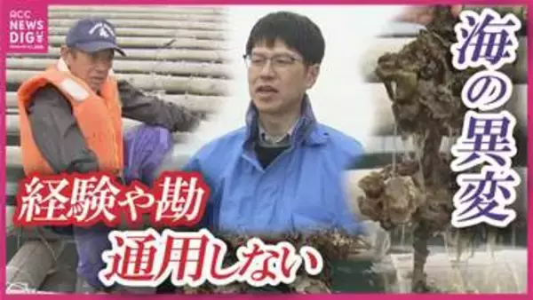 【カキの大量死】「漁場が疲れている」年間約2億円をかけ瀬戸内の海を救う！　データ養殖の確立とカキの通年提供を目指す　日本有数の産地・広島県呉市