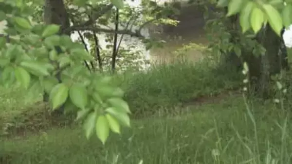 「ごめんね」自らの手でロープをかけ…アルコール性認知症の息子(当時55)に絶望し　殺人の罪に問われた母親（80）が法廷で語ったこととは