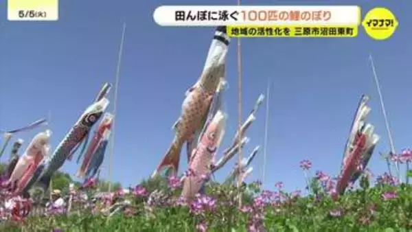 青空を泳ぐ100匹のこいのぼり　地域活性化を願い住民が田んぼに掲揚　広島県三原市