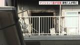 「広島市のマンションで火事　2人死傷　警察が遺体の身元調べ」の画像1