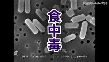 宿泊施設で97人に腹痛や下痢などの症状　ウエルシュ菌による集団食中毒と断定　食事を提供した飲食店業者に営業禁止処分　広島・福山市