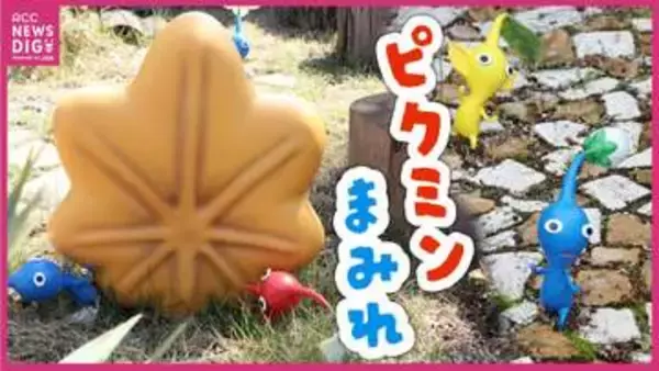 宮島サービスエリアが「ピクミン」まみれ！大人気で期間限定イベントがGW前に延長＆リニューアル　広島生まれ「ぷよぷよ」もふるさとで“だいれんさ”　地方盛り上げるゲーム企業の“ローカル進出”