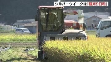 「コメの出来はいいが米価が…」広島県内屈指の大規模農家で稲刈り　生産コストは平均の8割ほども米価下落で「採算割れの見通し」