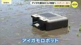 「「アイガモ米」増産へロボットを本格導入　広島市の農園「アイガモとロボットのハイブリッドで水田管理」」の画像1