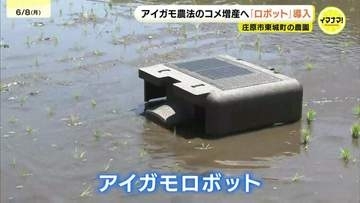 「アイガモ米」増産へロボットを本格導入　広島市の農園「アイガモとロボットのハイブリッドで水田管理」