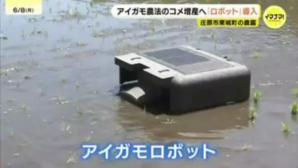 「アイガモ米」増産へロボットを本格導入　広島市の農園「アイガモとロボットのハイブリッドで水田管理」