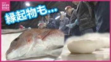 【値上げの冬】出世魚が1.8倍・正月の餅は3倍⁉　86歳の看板娘が嘆く「良い魚がそろわない」加速する店じまいの波　カキ大量死に直面する“地元の台所”の最新現場