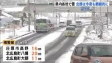 【年末寒波】北広島町八幡で20センチの積雪「ことし初めての雪かき」広島市中心部で今季最低0.2℃